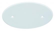 American De Rosa Lamparts E297 - 6IN WH FLAT PLATE- SCREW HOLES
