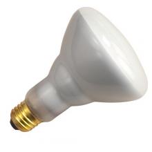 Light Bulbs