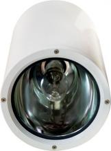 Dabmar DW3760-W - CEILING DOWN LIGHT INCAND PAR38 120V