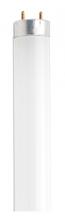 Satco Products Inc. S6511/TF - 15 Watt; T8; Fluorescent; 6500K Daylight; 76 CRI; Medium Bi Pin base; Shatter Proof