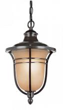 Trans Globe 5704 ROB - Reece 14.75" Hanging Lantern